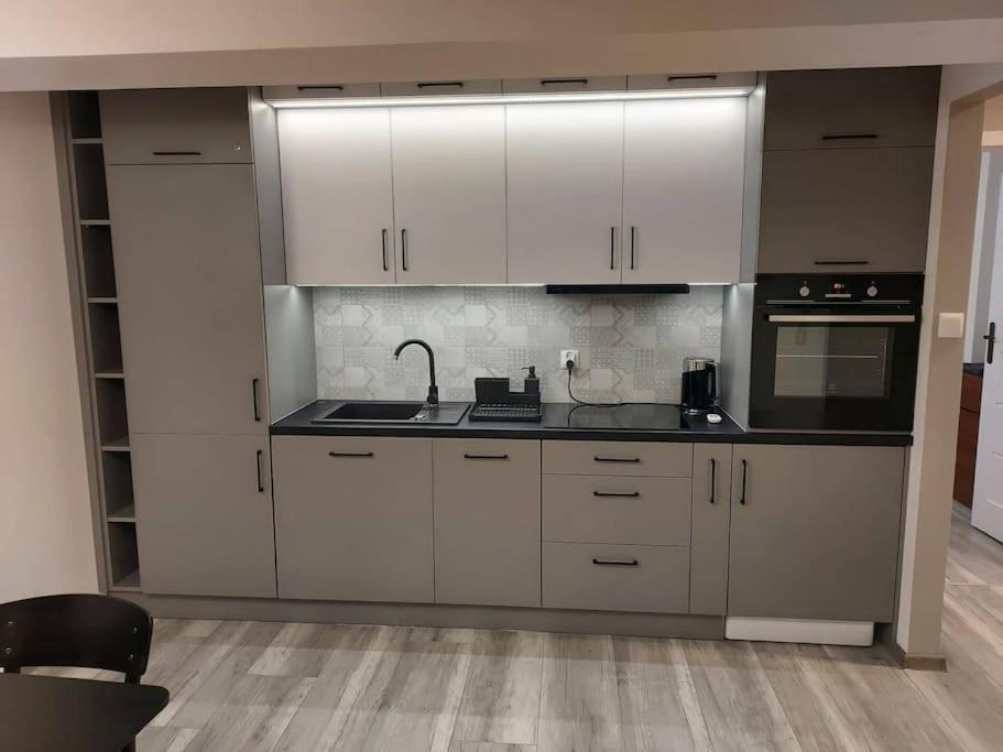 Uroczy Apartament W Scislym Centrum Gizycka Giżycko Buitenkant foto